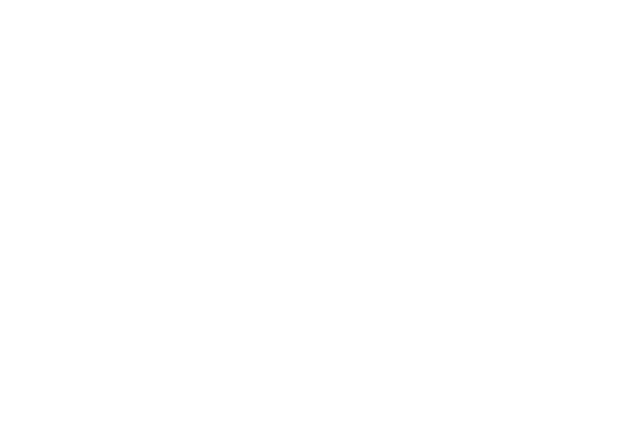 Pájaro Brujo Joyería energética